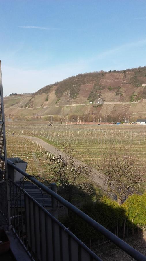 Gaestehaus Moselblick Trittenheim Luaran gambar