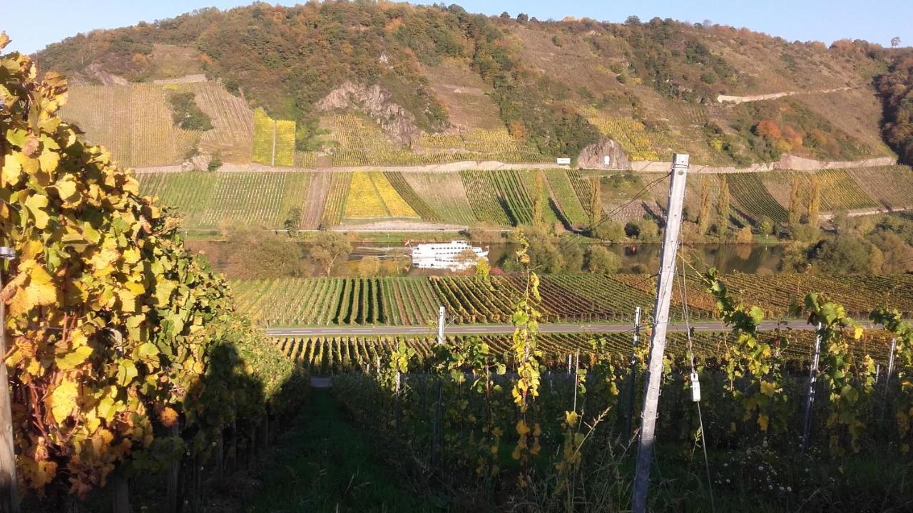 Gaestehaus Moselblick Trittenheim Luaran gambar
