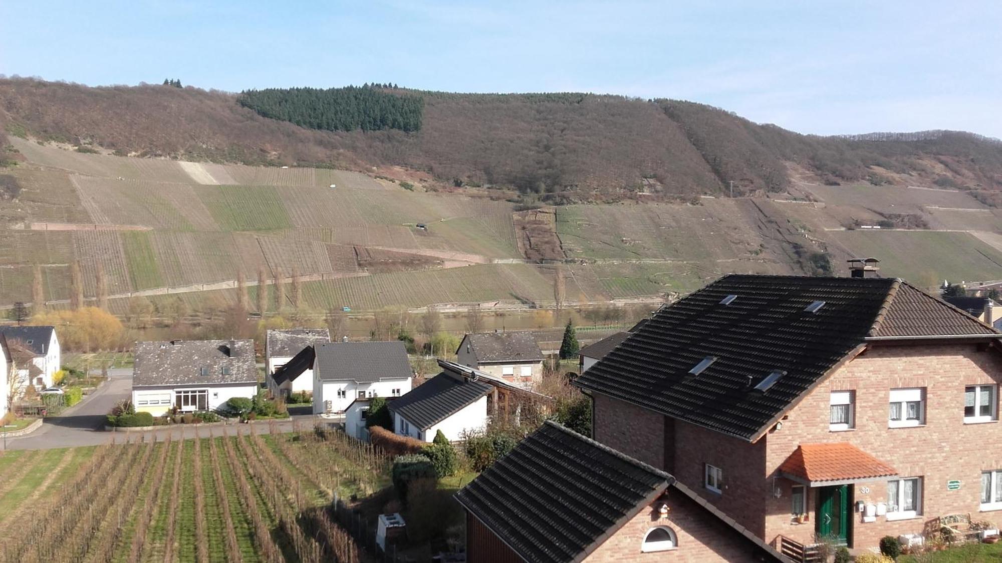 Gaestehaus Moselblick Trittenheim Luaran gambar