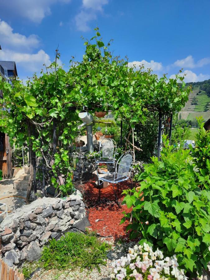 Gaestehaus Moselblick Trittenheim Luaran gambar